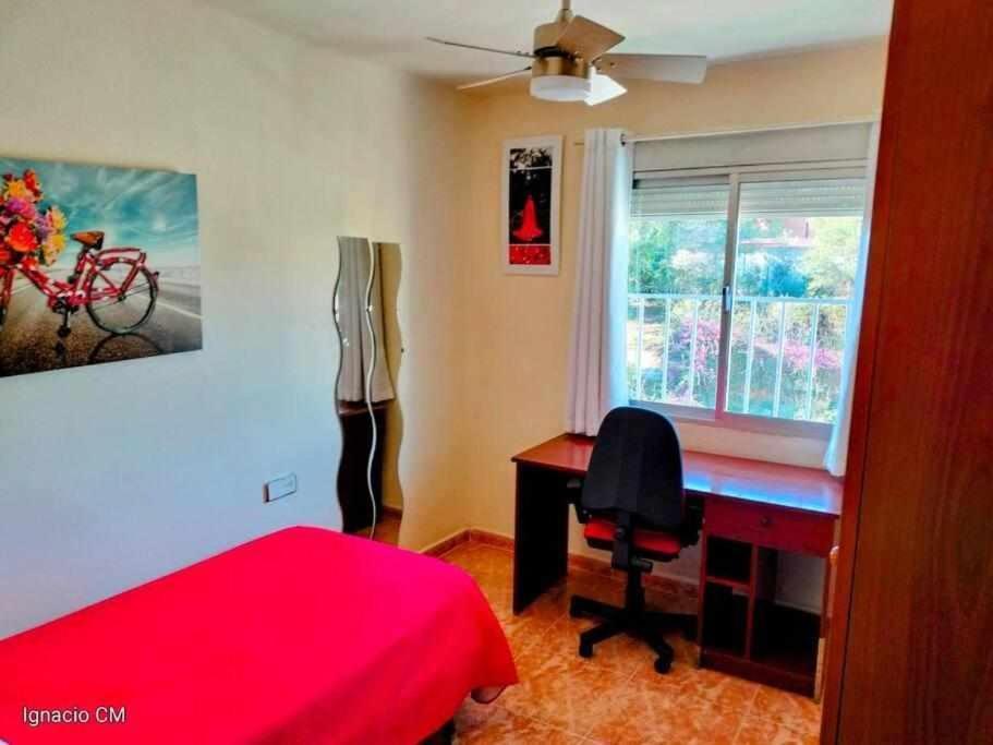 Apartamento En Pleno Centro De מאלגה מראה חיצוני תמונה